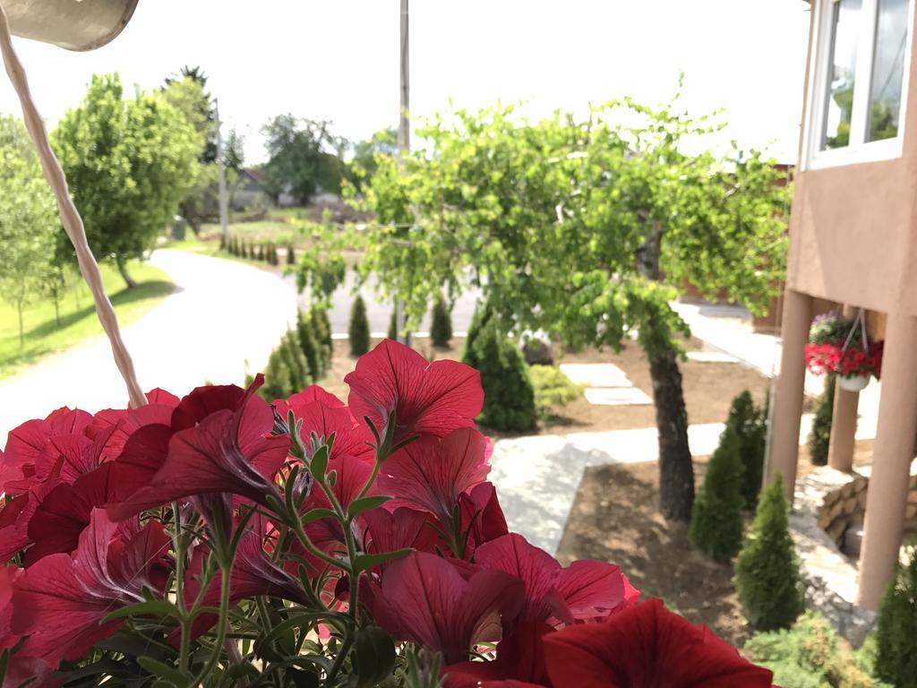 Villa Rubcic Rakovica Dış mekan fotoğraf